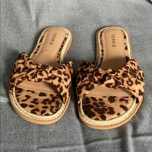 Torrid Leopard slides